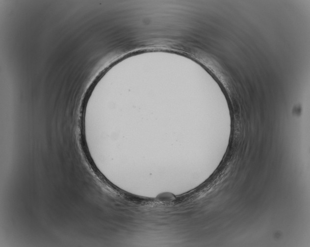 X0000097601093200803280945