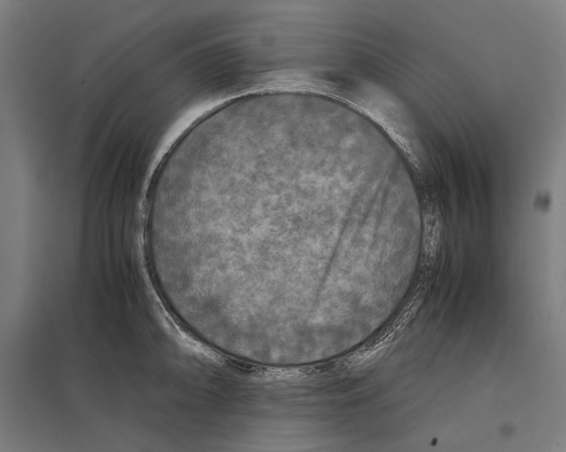 X0000097601094200803280945