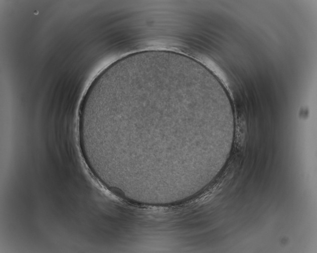 X0000097601096200803280945