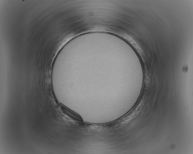 X0000097601097200803280945