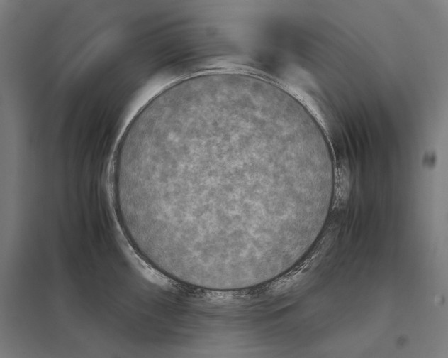 X0000097601098200803280945