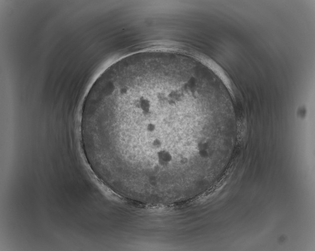 X0000097601099200803280945