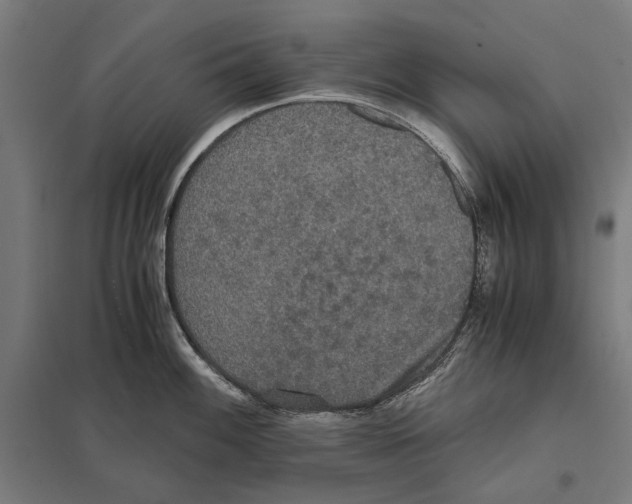 X0000097601100200803280945