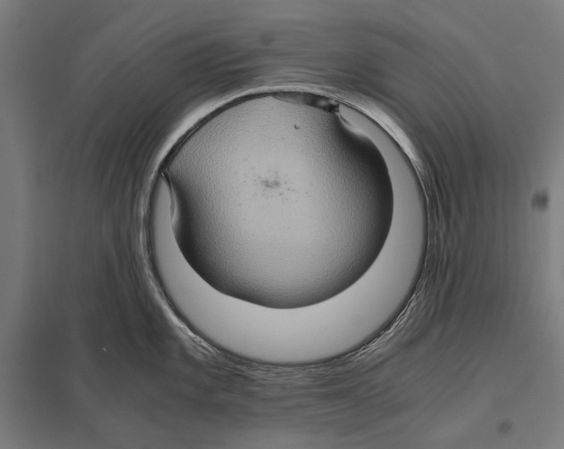 X0000097601101200803280945