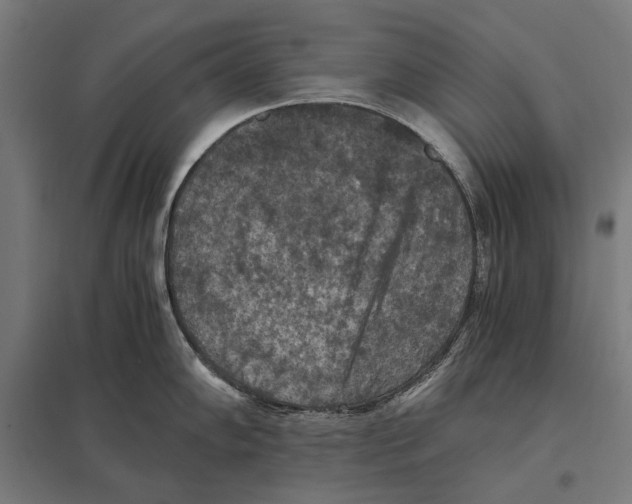 X0000097601102200803280945