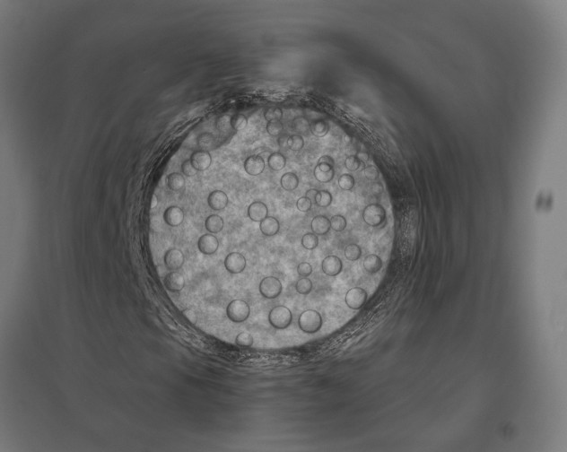 X0000097601105200803280944