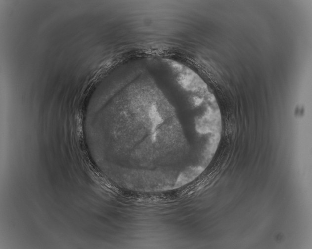 X0000097601106200803280944