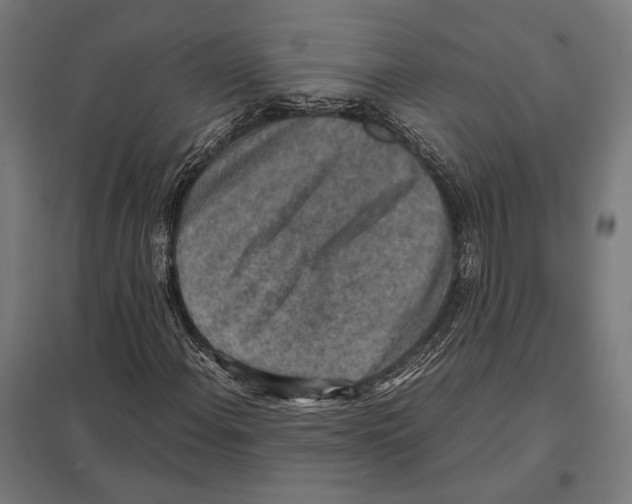 X0000097601108200803280944