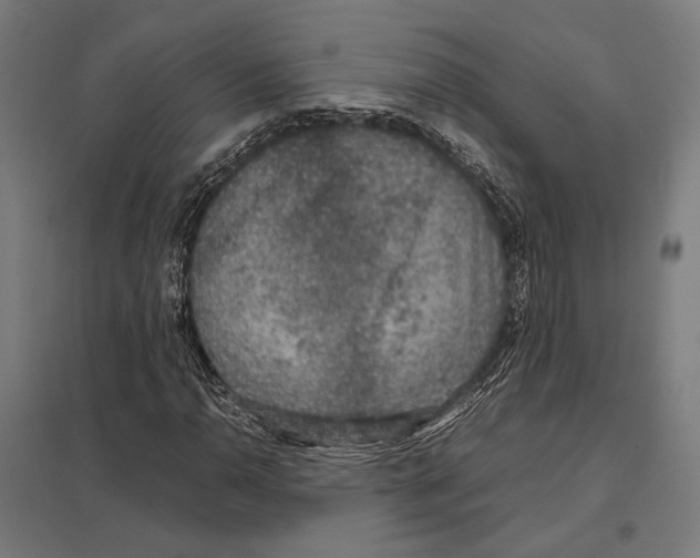 X0000097601110200803280944