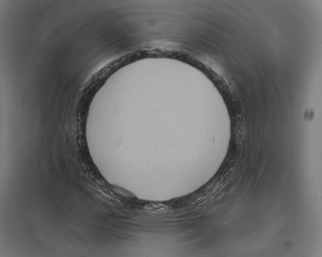 X0000097601112200803280944