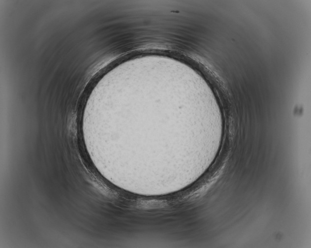 X0000097601113200803280944