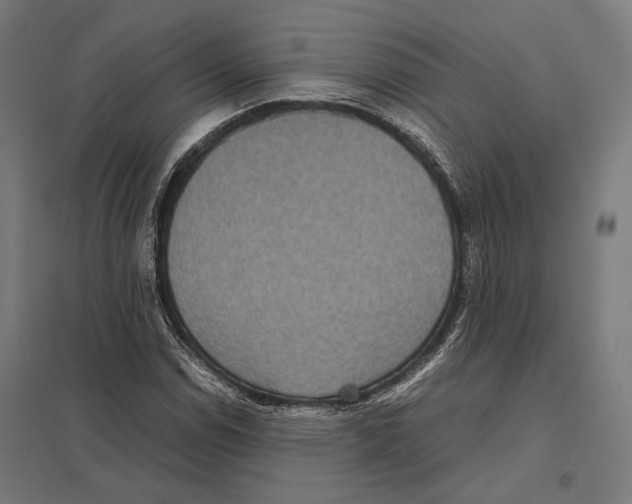 X0000097601114200803280944