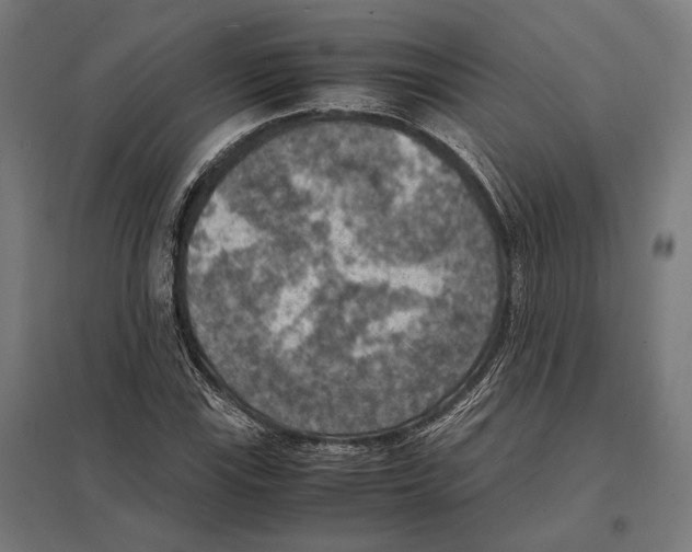 X0000097601115200803280944