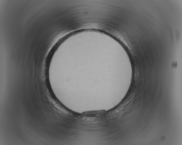 X0000097601116200803280944