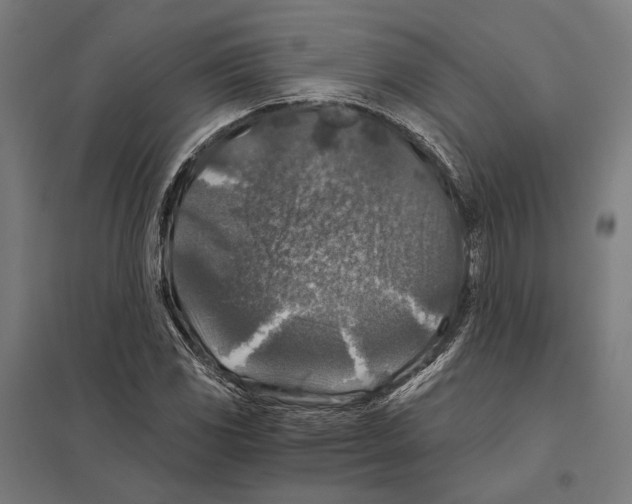 X0000097601117200803280944