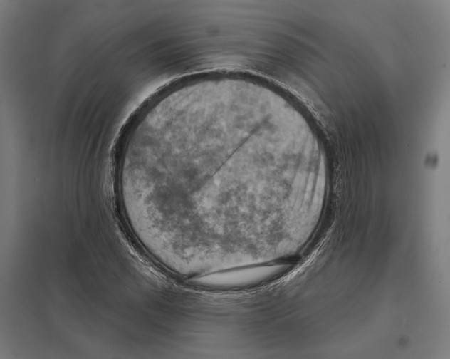 X0000097601118200803280944