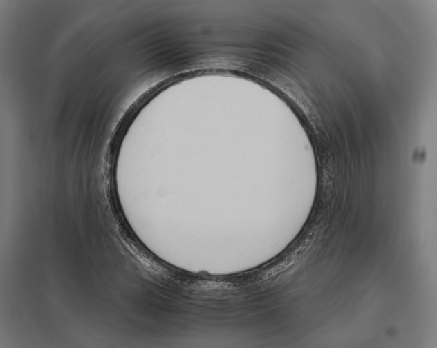 X0000097601119200803280944