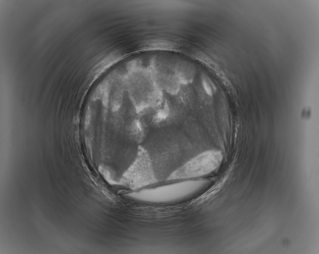 X0000097601121200803280944