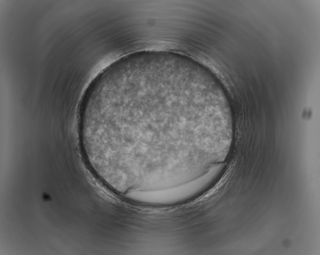 X0000097601122200803280944