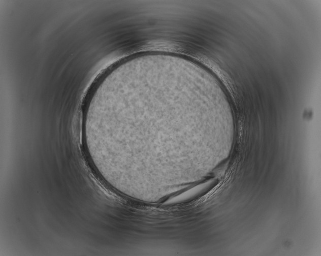 X0000097601123200803280944