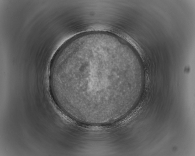 X0000097601124200803280944