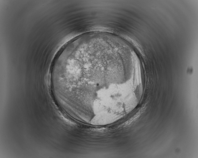 X0000097601125200803280944