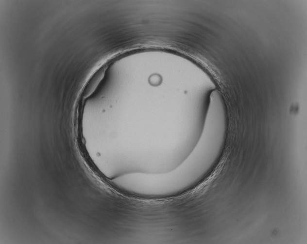 X0000097601126200803280944