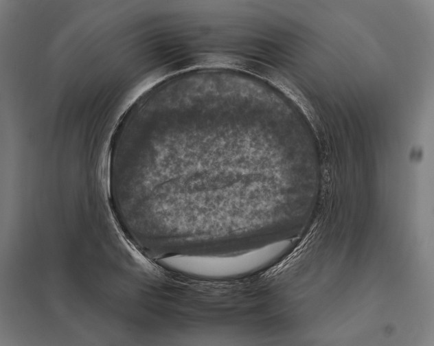 X0000097601127200803280944