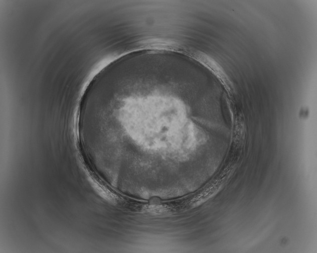 X0000097601128200803280944