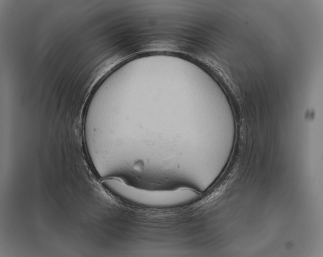 X0000097601129200803280944