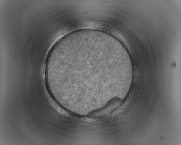 X0000097601130200803280944