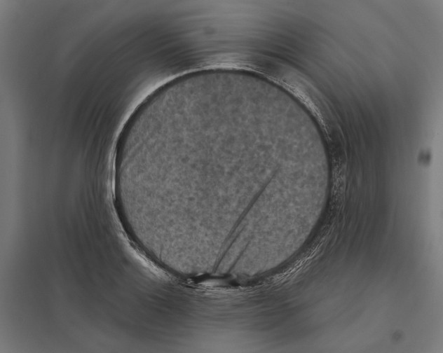 X0000097601132200803280944