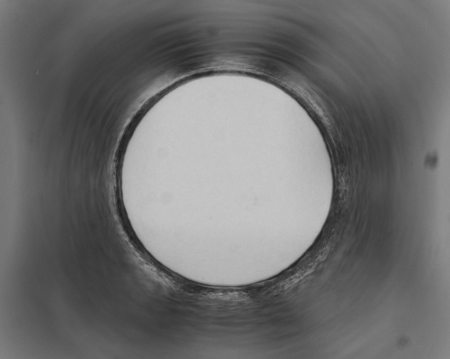 X0000097601133200803280944