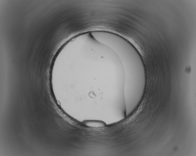 X0000097601134200803280944