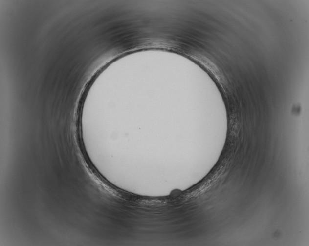 X0000097601135200803280944