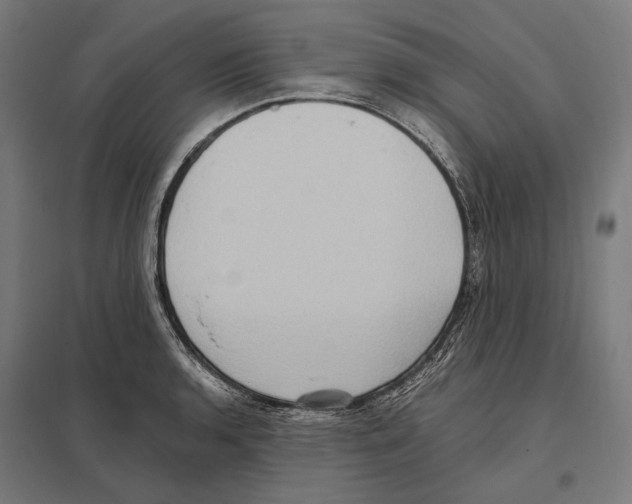 X0000097601136200803280944