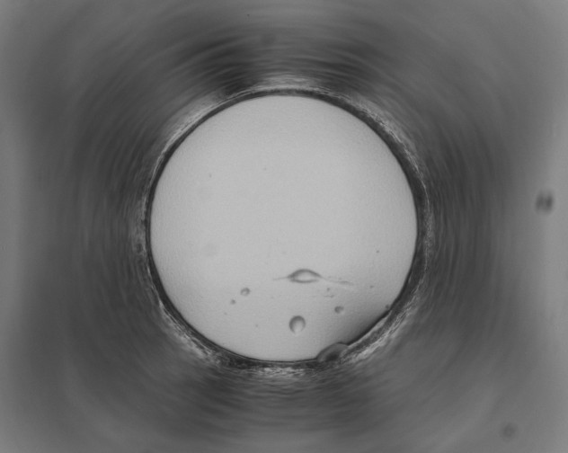 X0000097601137200803280944