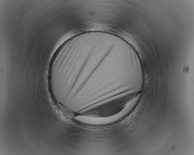 X0000097601138200803280944