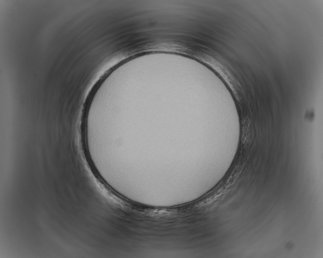 X0000097601139200803280944