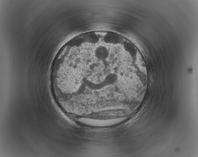 X0000097601142200803280944