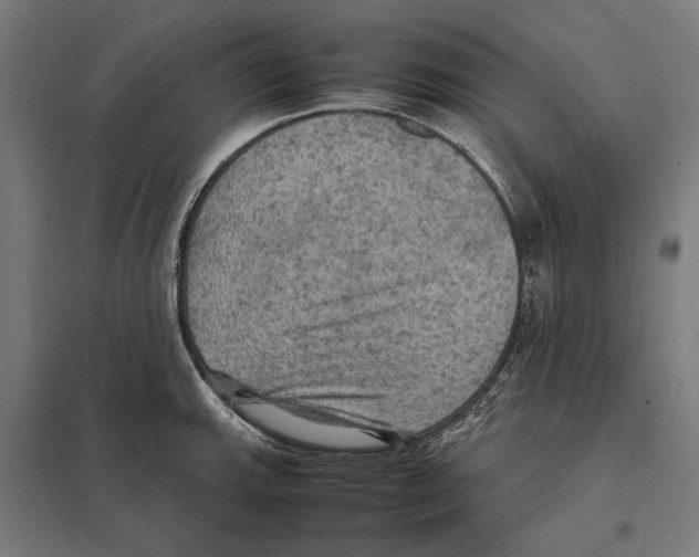 X0000097601143200803280944