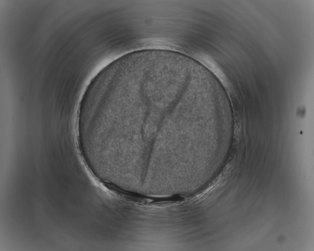 X0000097601144200803280944