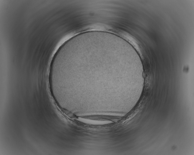 X0000097601146200803280945