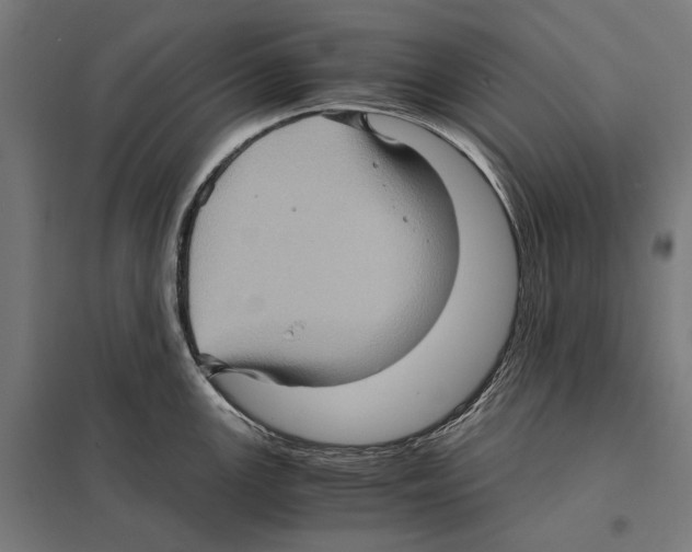 X0000097601147200803280945