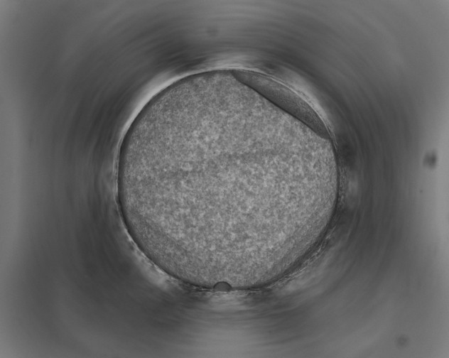 X0000097601148200803280945