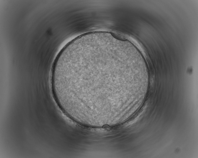 X0000097601149200803280945