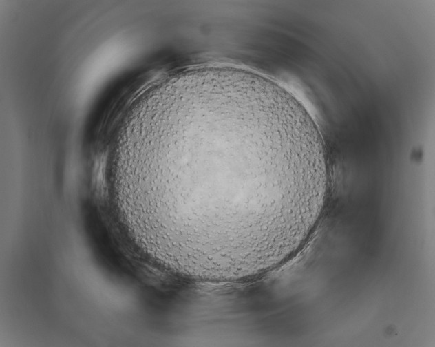 X0000097601150200803280945