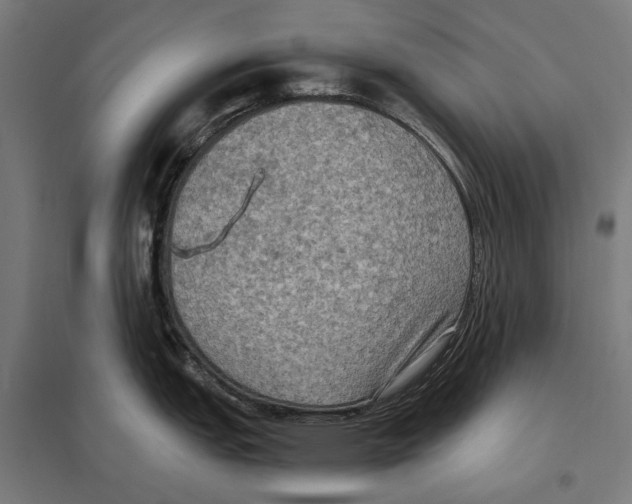 X0000097601151200803280945