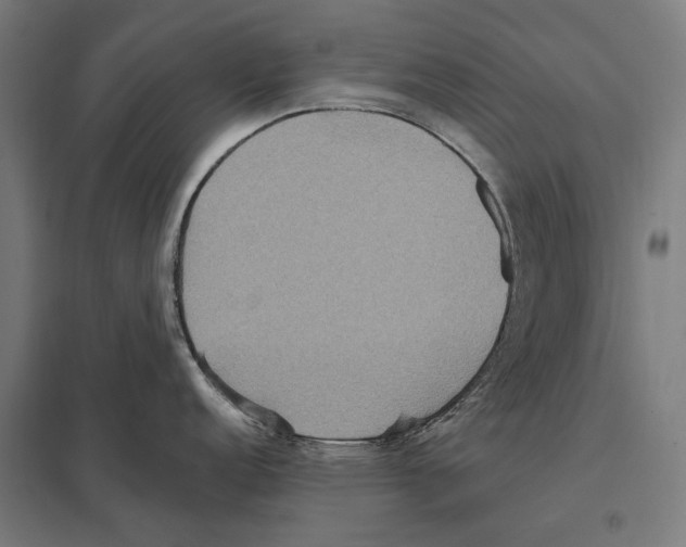 X0000097601152200803280945