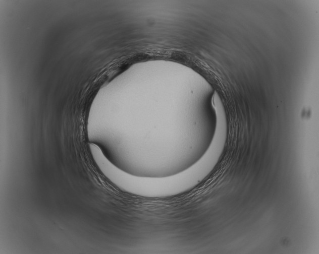 X0000097601154200803280944